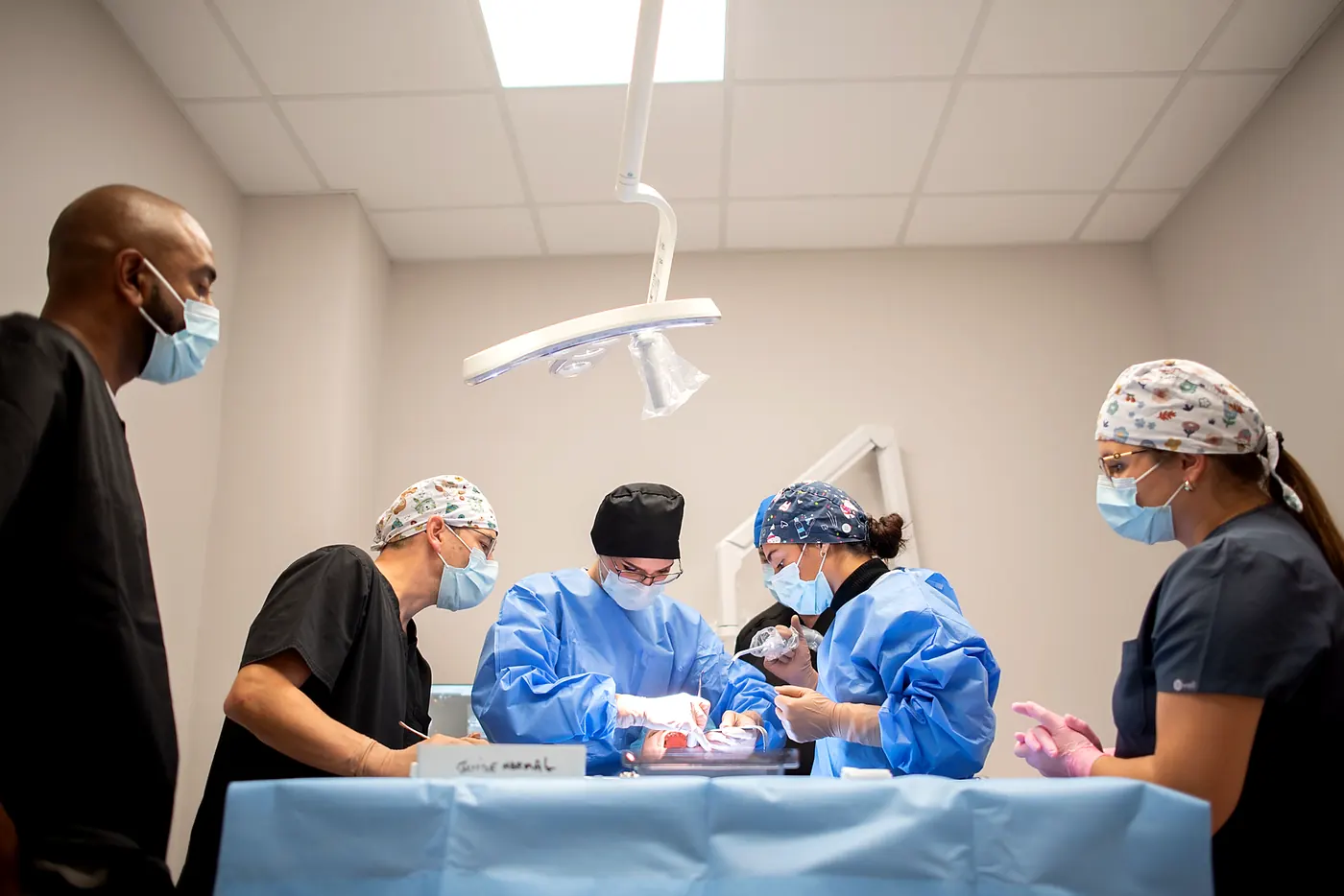L'équipe autour du patient pendant une pose d'implant assistée